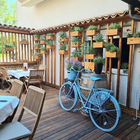 Alojamento de Acomodação e Pequeno-almoço Azur